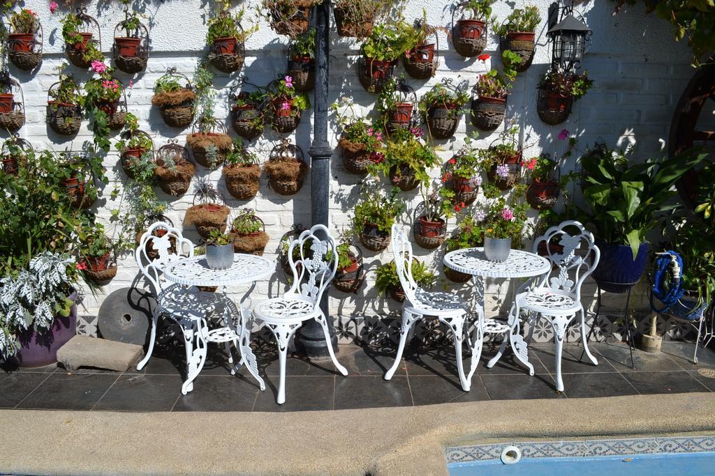 Hotel Vendimia Boutique Santa Cruz Zewnętrze zdjęcie